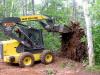 removal tree stumps 2