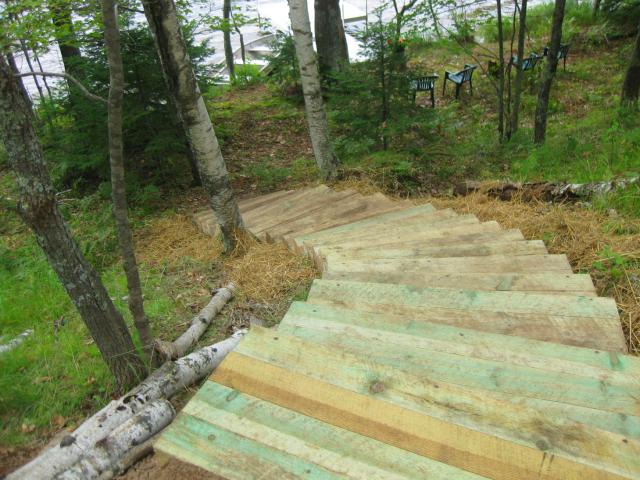Timber Steps to Lake
